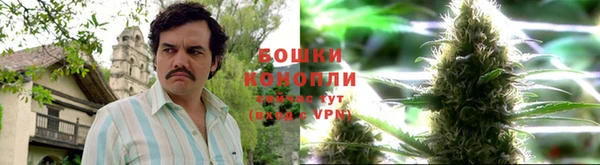 кокс Мегион