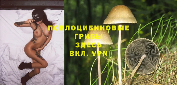меф Медвежьегорск